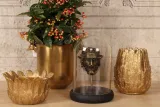 Bacchus-figuur met glazen stolp - goud - 23 cm - kunsthars