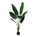 Kunstpflanze Strelitzia – Grün – 135 cm – 1 Stück